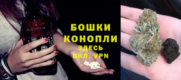 PSILOCYBIN Богородск