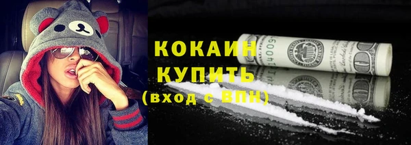 индика Богданович