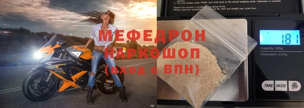 индика Богданович
