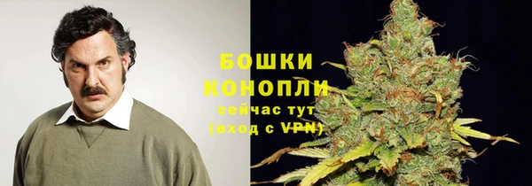 PSILOCYBIN Богородск