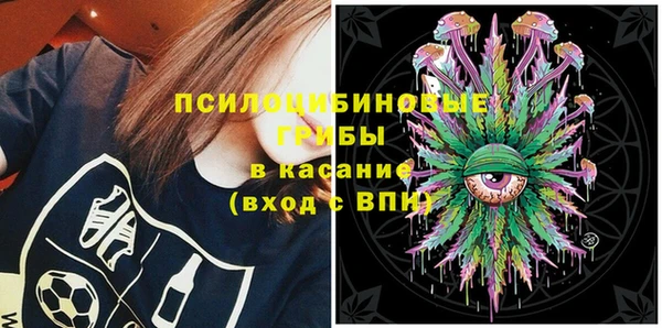 PSILOCYBIN Богородск