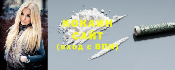 индика Богданович