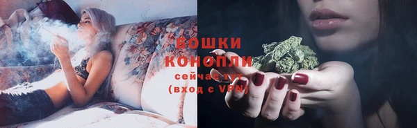 МДПВ Богородицк