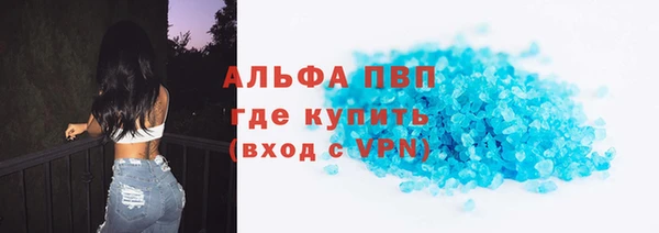 индика Богданович
