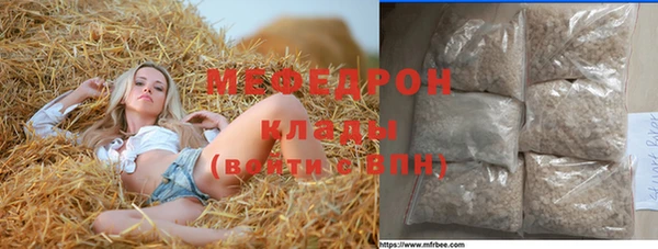 индика Богданович