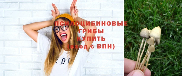 индика Богданович