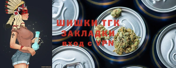индика Богданович