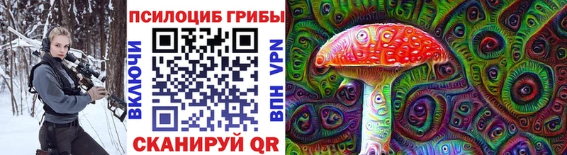 Псилоцибиновые грибы MAGIC MUSHROOMS  продажа наркотиков  кракен ONION  Чайковский 